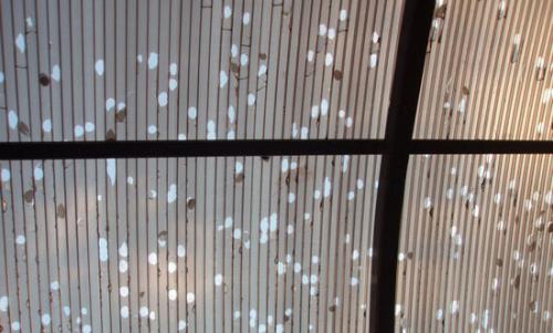 Как выбрать навес из поликарбоната под свой дом. Как выбрать поликарбонат для навеса: какой лучше и надежнее?