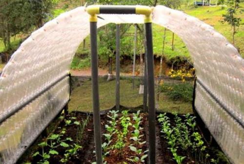 Что можно сделать из пластиковой бутылки из-под геля для стирки. Делаем теплицу, сарай, парник