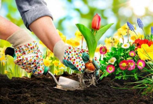 Клумба из кирпича. Клумбы из кирпича: оригинальные постройки кирпичных клумб. Инструкции и схемы по сооружению своими руками (фото + видео)