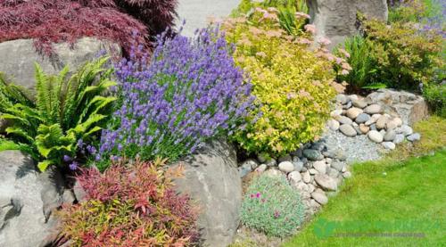 Строим альпийскую горку на даче своими руками 02