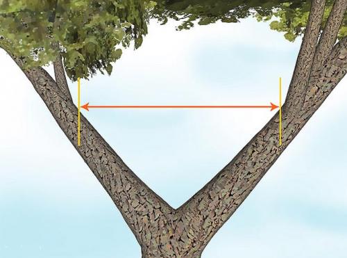 Простой домик на дереве для детей. Как сделать домик на дереве для детей на даче – инструкция, фото