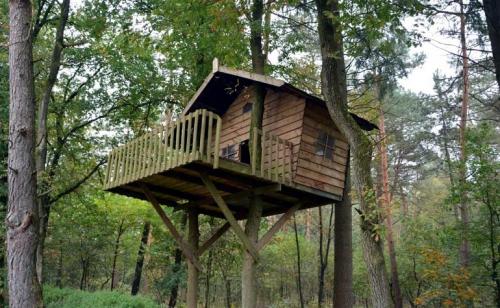 Простой домик на дереве для детей. Как сделать домик на дереве для детей на даче – инструкция, фото