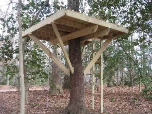 Домик на дереве своими руками. Выбор подходящего места