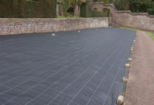 Как избавиться от сорняков и травы навсегда. Биологический метод избавления от травы на участке