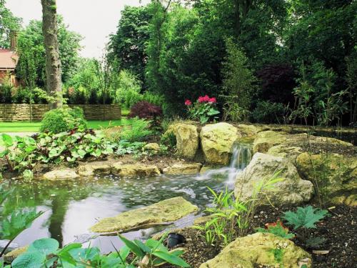 Оформление пруда на дачном участке. Пруд на даче: подробная пошаговая инструкция, как выкопать и оформить пруд своими руками (105 фото)