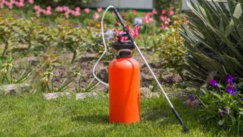 Как уничтожить траву навсегда в домашних условиях. Как избавиться от травы на участке