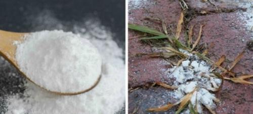 Как уничтожить траву навсегда в домашних условиях. Как избавиться от травы на участке