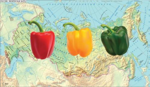 Когда сажать перец на рассаду в 2023 году. В зависимости от климатических условий региона