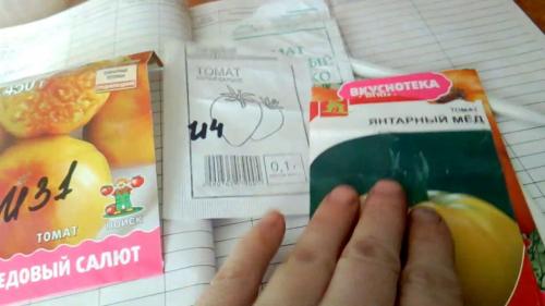 Лучшие сорта перцев для рассады в 2023 году от Садов России. Как выращивают перец 07 Лучшие сорта перцев для рассады в 2023 году от Садов России. Как выращивают перец 07