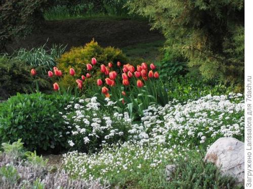 Как транспортировать и устанавливать тяжелые камни в саду. Как установить и сгруппировать камни в рокарии