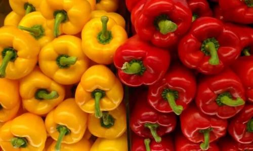 Ультраскороспелые и ранние сорта перцев. Лучшие ультраранние сорта перца 15