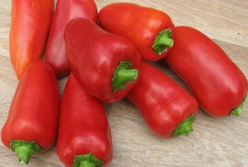 Ультраскороспелые и ранние сорта перцев. Лучшие ультраранние сорта перца 14