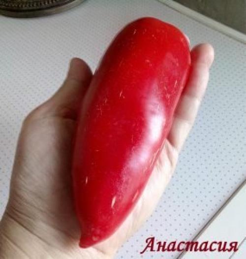 Ультраскороспелые и ранние сорта перцев. Лучшие ультраранние сорта перца 08