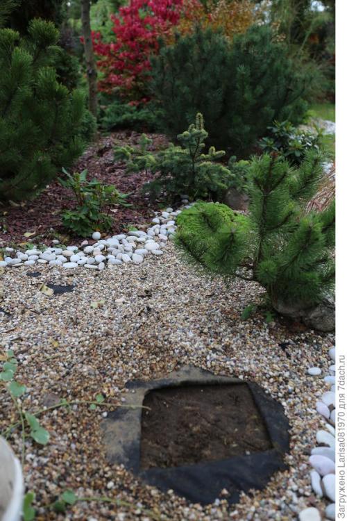 Можно ли использовать большие камни в небольшом саду, и если да то как. Простой способ мульчирования без снятия дёрна и создание сада лёгкого ухода