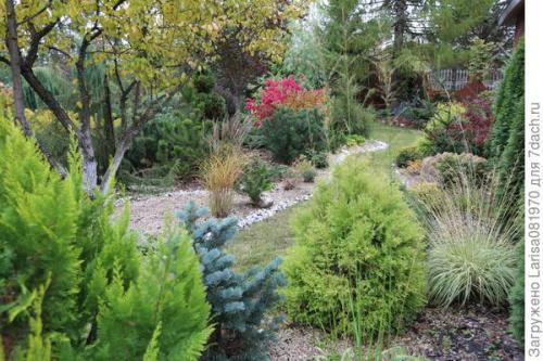 Можно ли использовать большие камни в небольшом саду, и если да то как. Простой способ мульчирования без снятия дёрна и создание сада лёгкого ухода