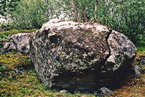 Валуны в ландшафтном дизайне: как природные элементы преображают ваш сад 17 Валуны в ландшафтном дизайне: как природные элементы преображают ваш сад 17