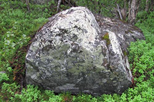 Валуны в ландшафтном дизайне: как природные элементы преображают ваш сад 19 Валуны в ландшафтном дизайне: как природные элементы преображают ваш сад 19