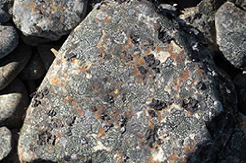 Валуны в ландшафтном дизайне: как природные элементы преображают ваш сад 18 Валуны в ландшафтном дизайне: как природные элементы преображают ваш сад 18