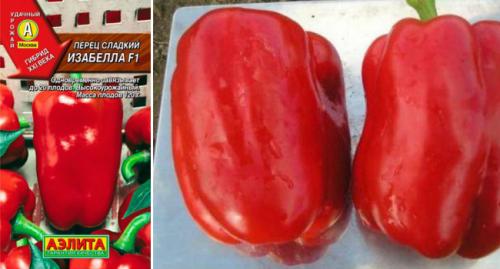Супер ранние сорта перца для теплиц. Самые лучшие сорта сладкого перца