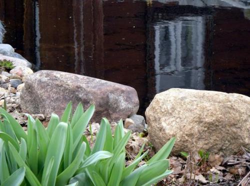 Как сочетать камень с растениями в саду. Цветы и камни