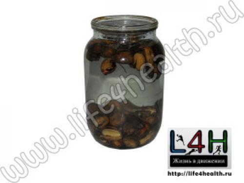 Когда лучше сажать дуб. Жизнь нового дуба начинается с его плода – жёлудя! С этого и предлагаю Тебе дорогой читатель начать, с новой жизни дуба, с посадки жёлудя.