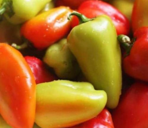 Обзор лучших сортов болгарского перца. Лучшие раннеспелые и среднеспелые сорта перца 04