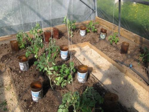 Применение 5-ти литровых пластиковых бутылок. 8 нестандартных идей использования 5-литровых пластиковых бутылок на даче