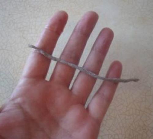 Вазы из 5-литровых пластиковых бутылок. Ваза из пластиковой бутылки и шпагата