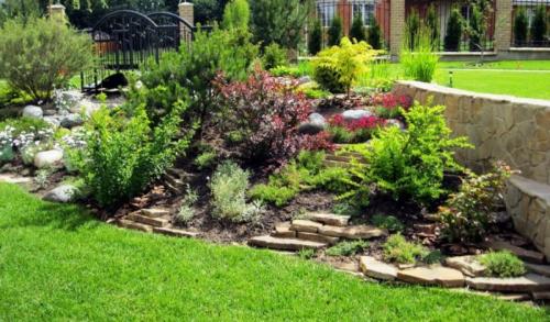 Какие ошибки чаще всего допускают при создании клумбы из камней. Альпийская горка: правила создания каменного цветника и ухода за ним