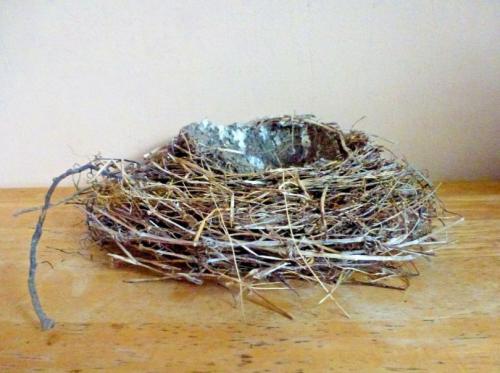 Декоративное гнездо своими руками. Гнездо из веток своими руками —, что можно использовать для изготовления и инструкции смотрите в обзоре на фото!