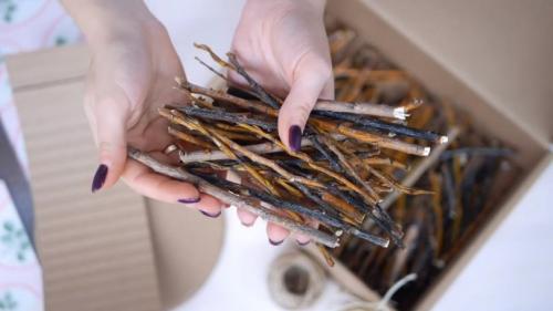 Декоративное гнездо своими руками. Гнездо из веток своими руками —, что можно использовать для изготовления и инструкции смотрите в обзоре на фото!