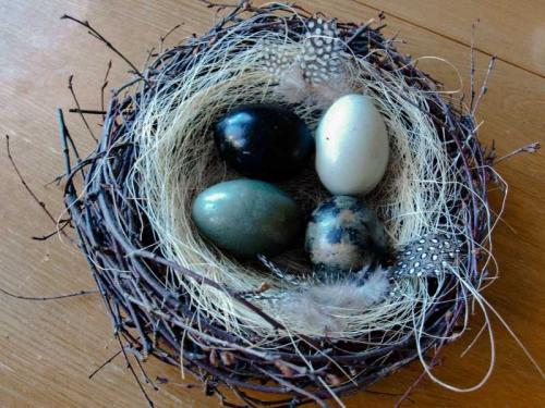 Как сделать декоративное гнездо из веток. Гнездо из веток: 135 фото и видео мастер-класс изготовления больших и маленьких птичьих гнезд