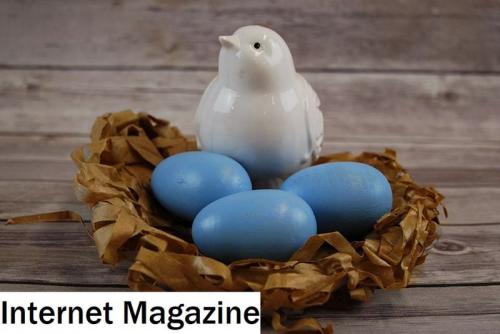 Как сделать гнездо из бумаги. Оригами Голубь мира из бумаги (Май 2023)