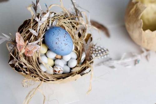 Как сделать декоративное гнездо из веток. Гнездо из веток: 135 фото и видео мастер-класс изготовления больших и маленьких птичьих гнезд