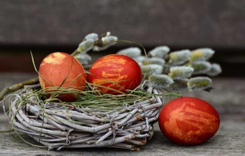 Как сделать декоративное гнездо из веток. Гнездо из веток: 135 фото и видео мастер-класс изготовления больших и маленьких птичьих гнезд