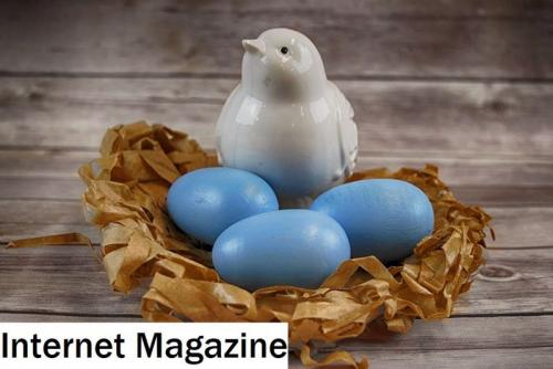 Как сделать гнездо из бумаги. Оригами Голубь мира из бумаги (Май 2023)