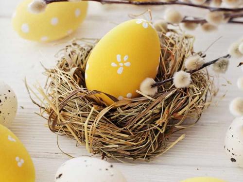 Как сделать декоративное гнездо из веток. Гнездо из веток: 135 фото и видео мастер-класс изготовления больших и маленьких птичьих гнезд