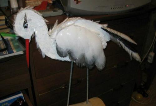 Как сделать аиста из цемента своими руками. Как сделать аиста из пластиковых ёмкостей