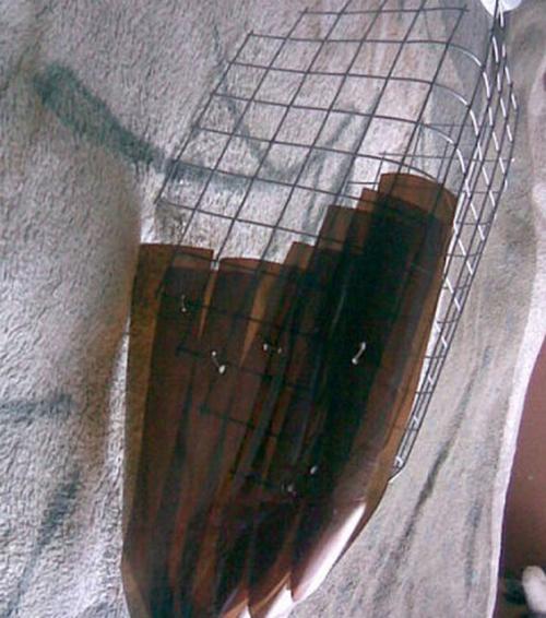 Поделки для дачи аист. Скульптура из пластиковых бутылок и фанеры 12