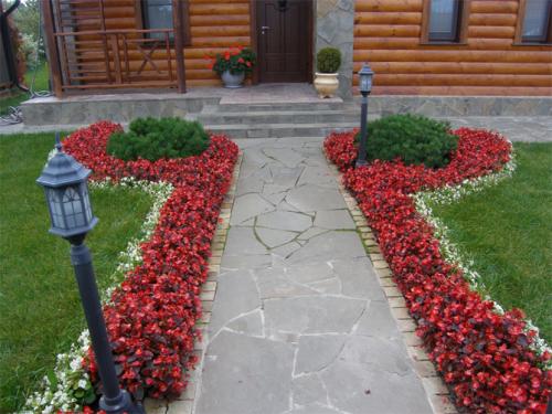 Цветы низкорослые для клумбы. Низкорослые бордюрные цветы однолетние и многолетние, фото на клумбах