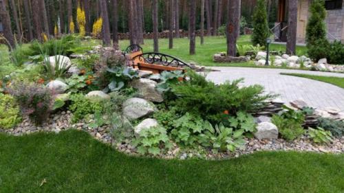 Розарий с хостами. Где посадить хосту?