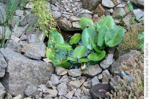 Как закончить сухой ручей. Блюдце воды, как завершение сухого ручья