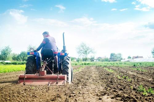 Эффективные методы борьбы с сорняками: как сохранить ваш сад чистым 01 Эффективные методы борьбы с сорняками: как сохранить ваш сад чистым 01