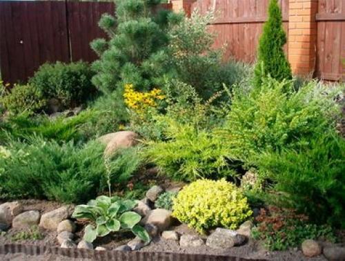 Как создать цветник с камнями в миниатюре. Каменистые садики, этапы устройства, подбор материалов и растений