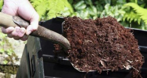 Сода и уксус от сорняков. Уксус и сода против сорняков и вредителей