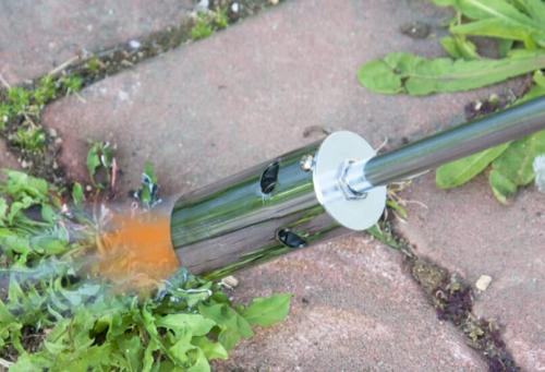 Как избавиться от сорняков навсегда. Как избавиться от сорняков: химические, механические, биологические и народные методы борьбы с нахлебниками на своем участке