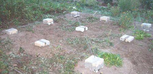 Проекты беседок из дерева. Места расположения 14 Проекты беседок из дерева. Места расположения 14