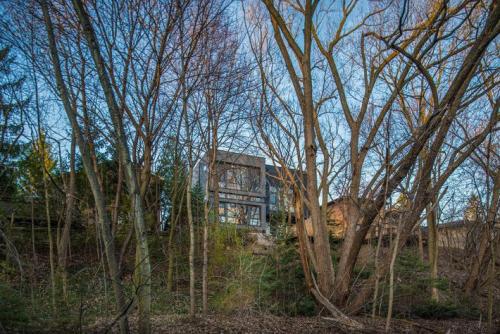 Какие деревья высадить возле дома. Хвойные морозоустойчивые 21 Какие деревья высадить возле дома. Хвойные морозоустойчивые 21