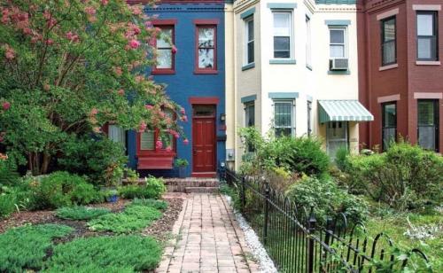 Какие деревья посадить во дворе многоэтажки. Растения для городских условий. Кто самый выносливый?