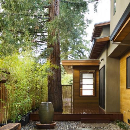 Какие деревья можно сажать возле дома на участке. Деревья возле дома — виды которые можно и нельзя сажать. 100 фото лучших вариантов для посадки